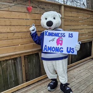 Image post by @officialcarltonthebear on Instagram