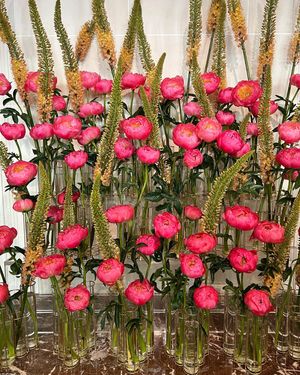 Image post by @palomacontrerasdesign on Instagram