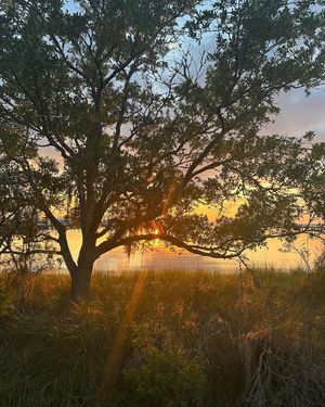 Image post by @southwalton on Instagram