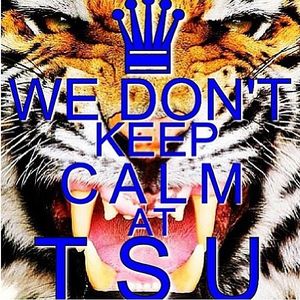Image post by @tsutigersmbb on Instagram