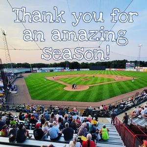 Image post by @burlington_bees on Instagram