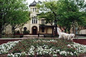 Image post by @rutgersnb on Instagram