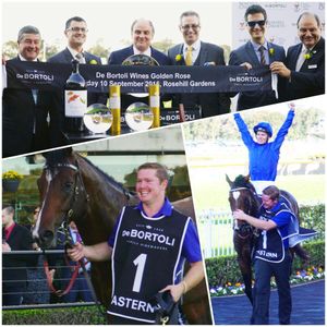 Image post by @australianturfclub on Instagram