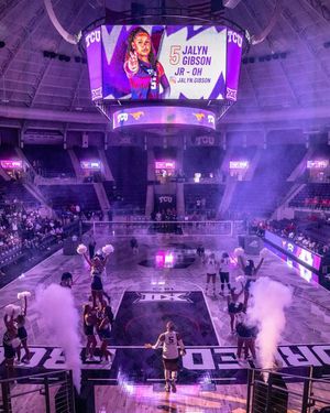 Image post by @tcuvolleyball on Instagram
