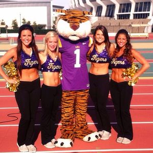 Image post by @lsutigergirls on Instagram