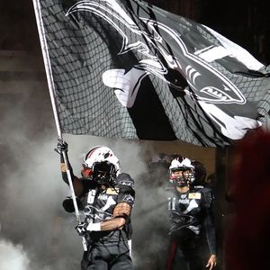 Image post by @jaxsharks on Instagram