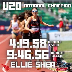 Image post by @dyestat on Instagram