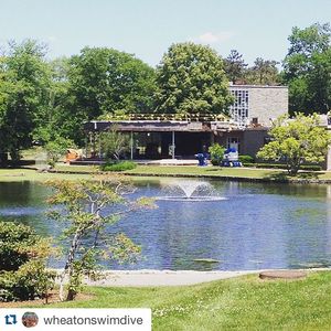 Image post by @wheatonlyons on Instagram