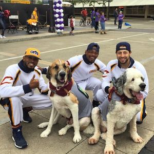 Image post by @cavsscreamteam on Instagram