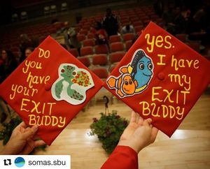 Image post by @stonybrooku on Instagram