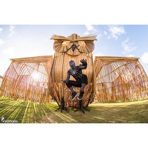 Image post by @edc_lasvegas on Instagram