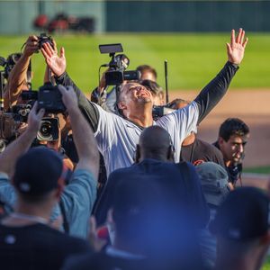 Image post by @tigers on Instagram