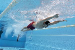 Image post by @arenausa on Instagram