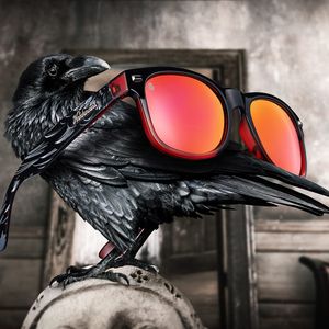 Image post by @knockaround on Instagram