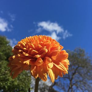 Image post by @scleggphotography on Instagram