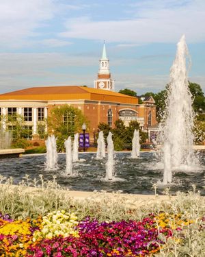 Image post by @highpointu on Instagram