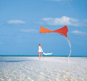 Image post by @tuucishade on Instagram