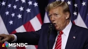 Video post by @msnbc on YouTube