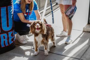 Image post by @depaulwsoc on Instagram