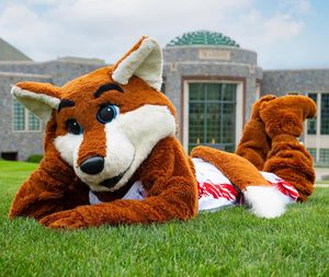 Image post by @marist on Instagram