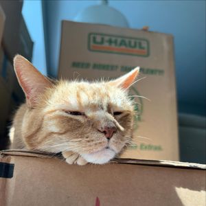 Image post by @uhaul on Instagram