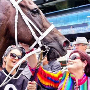 Image post by @australianturfclub on Instagram