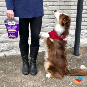 Image post by @triumphpetfood on Instagram