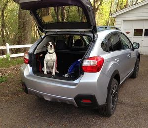 Image post by @schompsubaru on Instagram