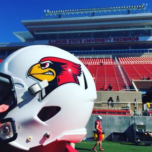 Image post by @isuredbirds on Instagram