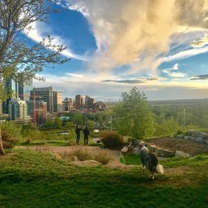 Image post by @cityofcalgary on Instagram