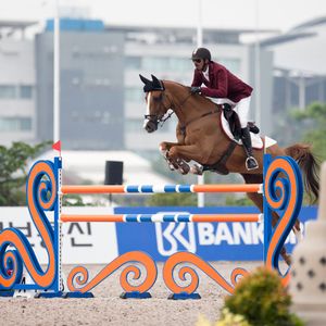 Image post by @qatar_olympic on Twitter