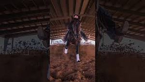 Video post by @ariannagrainey7725 on YouTube