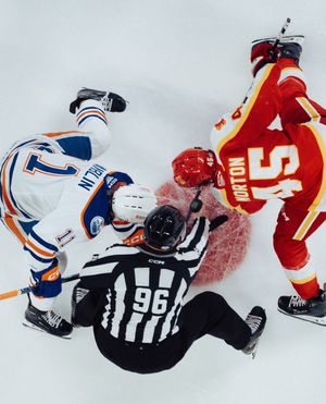 Image post by @theahl on Instagram