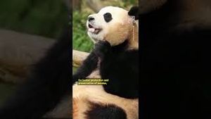 Video post by @nowthisnews on YouTube