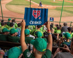 Image post by @BaseballCzech on Twitter
