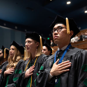 Image post by @hofstrau on Instagram