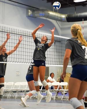 Image post by @gtvolleyball on Instagram