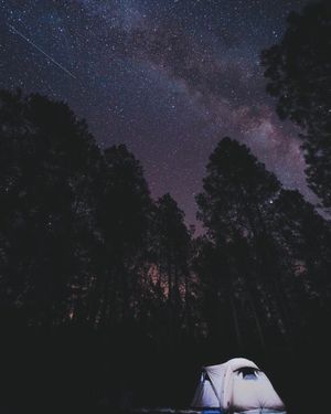 Image post by @nauflagstaff on Instagram