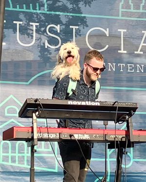 Image post by @muscornernash on Instagram