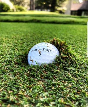 Image post by @wilsongolfcanada on Instagram