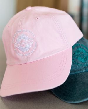 Image post by @armadillocamera on Instagram