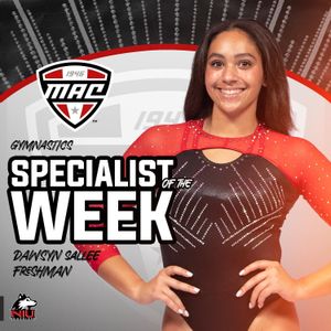 Image post by @niugymnastics on Instagram