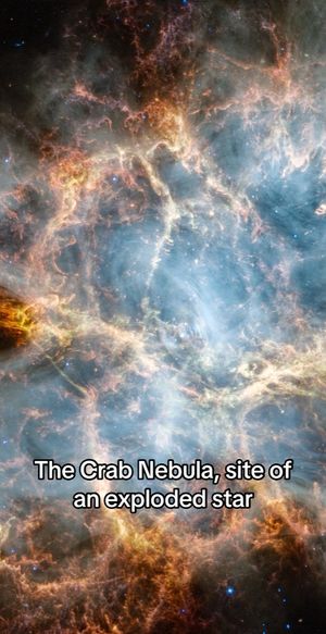 Image post by @discovery on TikTok