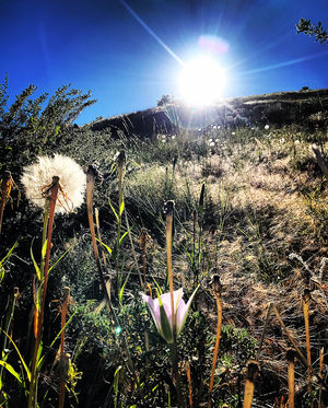 Image post by @boise_bucketlist on Instagram