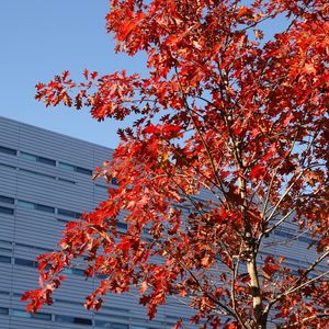 Image post by @uofcincy on Instagram