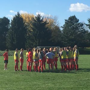 Image post by @terrierwsoc on Instagram