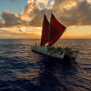 Image post by @discovery on Instagram