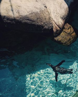 Image post by @lo_.productions on Instagram