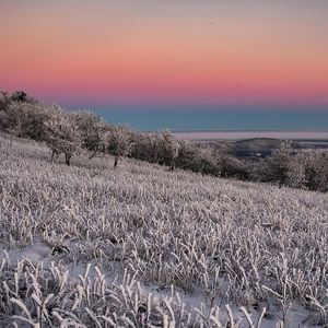 Image post by @JustinPotterPhotography on Facebook