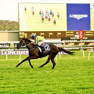 Image post by @australianturfclub on Instagram